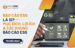 Báo cáo ESG là gì? Mục đích, Lợi ích & Các khung báo cáo ESG