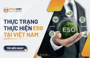 Thực trạng thực hiện ESG tại Việt Nam hiện nay