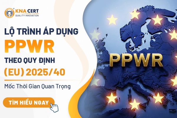 Ký sự mùa hè Đà Nẵng 2026 của PQI