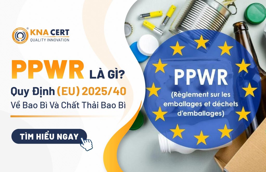 [PQI] Ký sự du xuân Bính Ngọ 2026: Hành trình về với Cố đô Ninh Bình