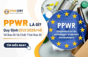 [PQI] Ký sự du xuân Bính Ngọ 2026: Hành trình về với Cố đô Ninh Bình