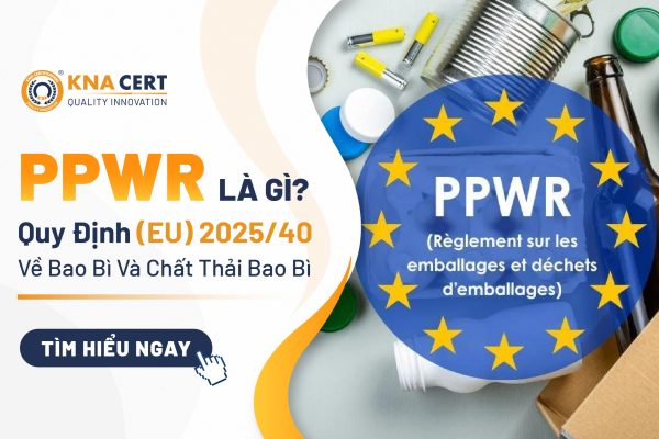 PPWR Là Gì? Quy Định (EU) 2025/40 Về Bao Bì Và Chất Thải Bao Bì