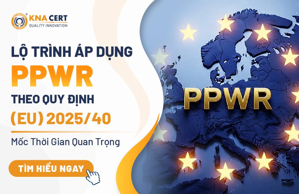 Year End Party 2025 của PQI: Hành trình tỏa sáng – Bứt phá thành công