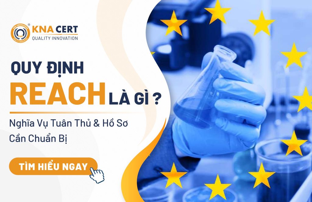Quy Định REACH Là Gì? Nghĩa Vụ Tuân Thủ & Hồ Sơ Cần Chuẩn Bị