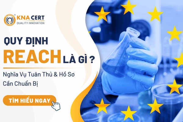 Quy Định REACH Là Gì? Nghĩa Vụ Tuân Thủ & Hồ Sơ Cần Chuẩn Bị