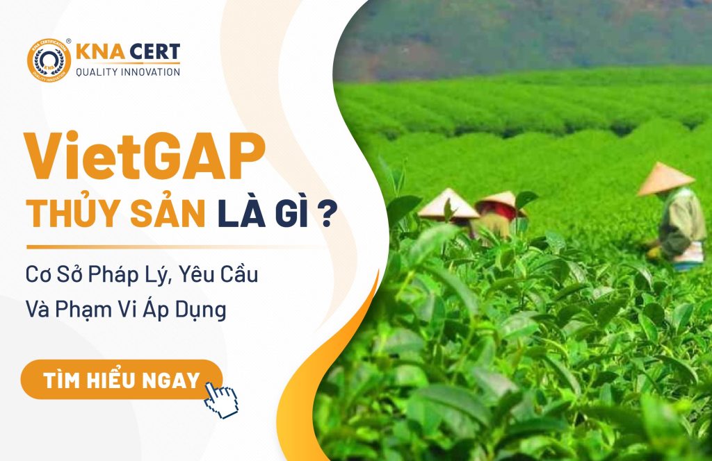VietGAP Thủy Sản Là Gì? Cơ Sở Pháp Lý, Yêu Cầu Và Phạm Vi Áp Dụng
