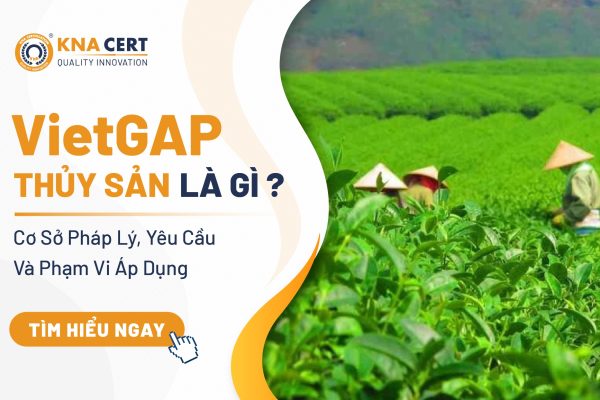VietGAP Thủy Sản Là Gì? Cơ Sở Pháp Lý, Yêu Cầu Và Phạm Vi Áp Dụng
