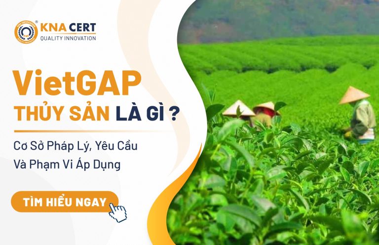 VietGAP Thủy Sản Là Gì? Cơ Sở Pháp Lý, Yêu Cầu Và Phạm Vi Áp Dụng