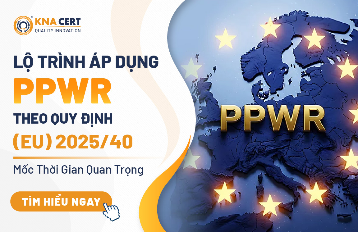Lộ Trình Áp Dụng PPWR Theo Quy Định (EU) 2025/40 – Mốc Thời Gian Quan Trọng