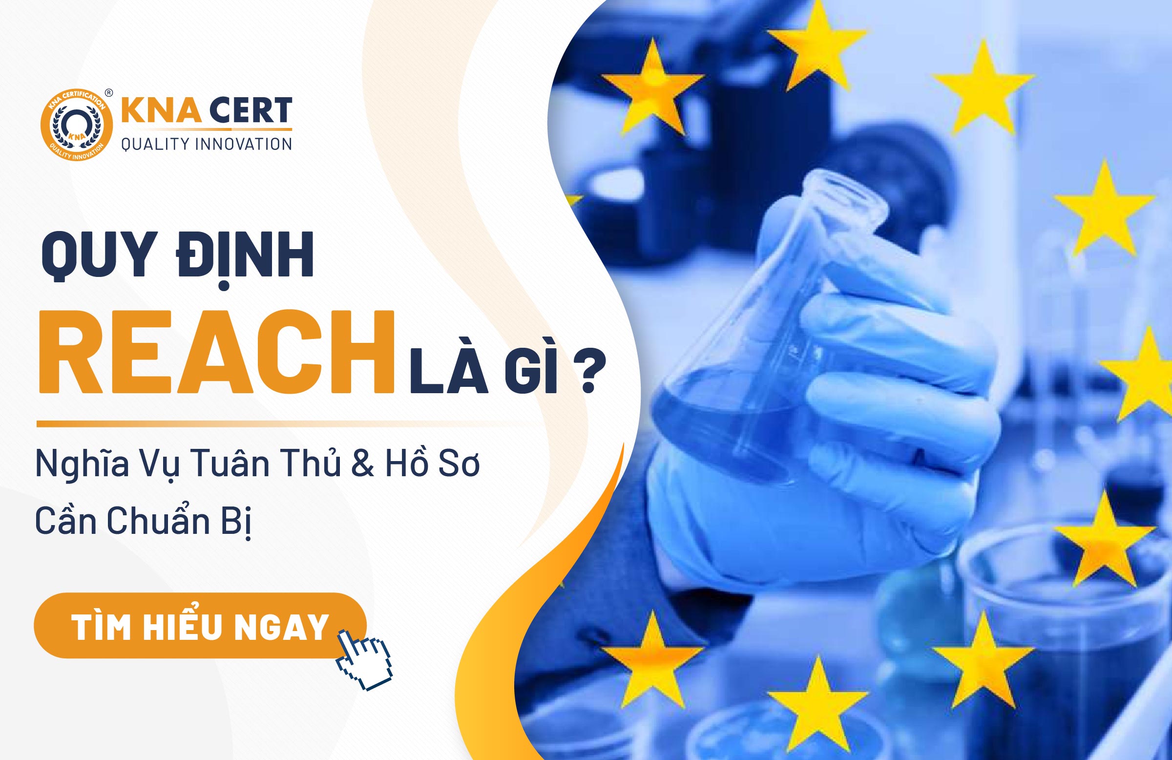 Quy Định REACH