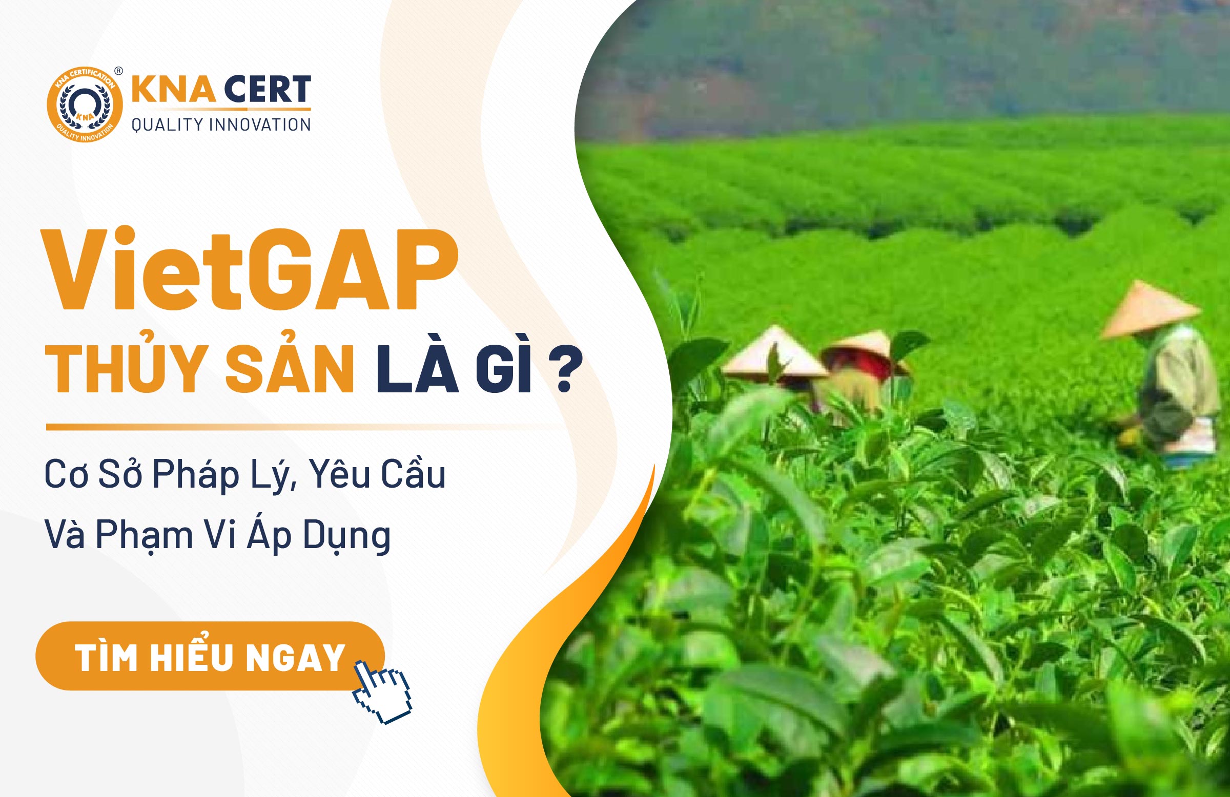 VietGAP Thủy Sản