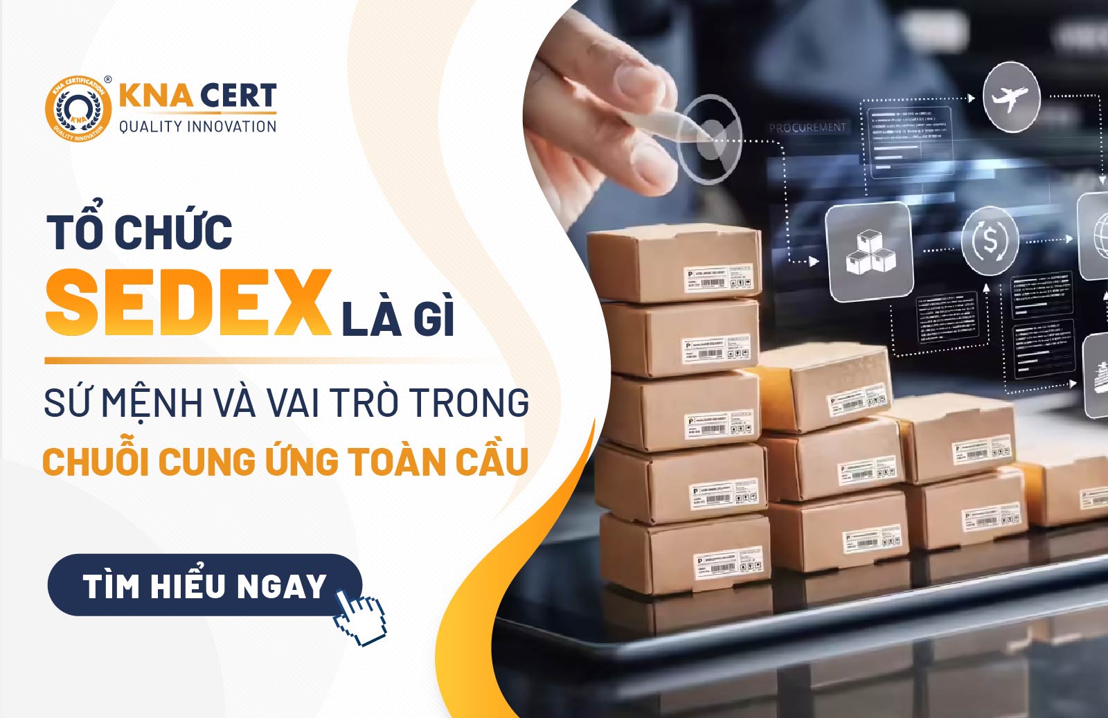 Tổ Chức Sedex